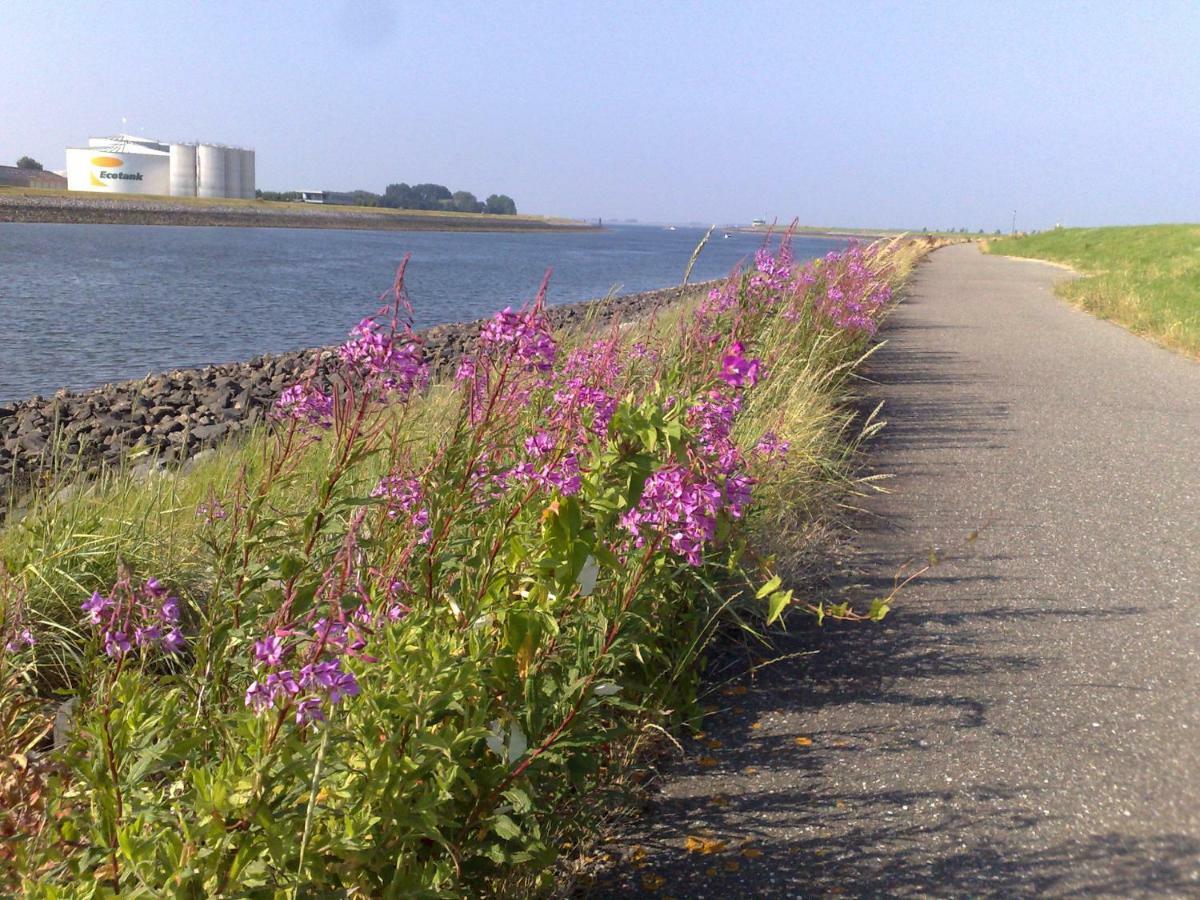 Middensluis Vakantiehuis Wemeldinge Exteriér fotografie